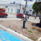 Fumigan contra pulgas y garrapatas en Allende