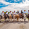 Gran éxito la Cabalgata del Bicentenario de Allende