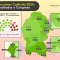 Así quedará conformado el Congreso de Coahuila