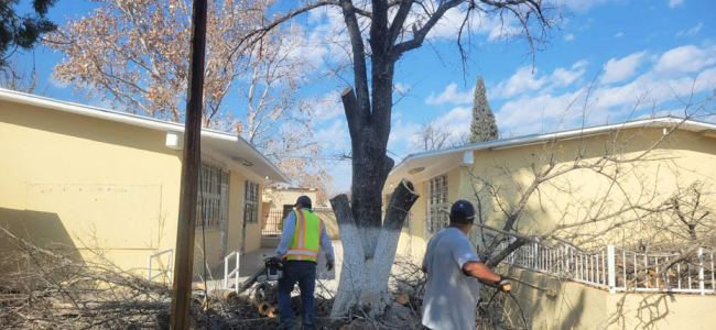Redobla Ecología mejoramiento de espacios en Allende