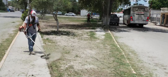 Constante mejoramiento de espacios públicos en Allende