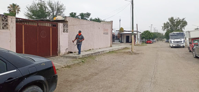 Realizan tareas de limpieza general en el bulevar Sur