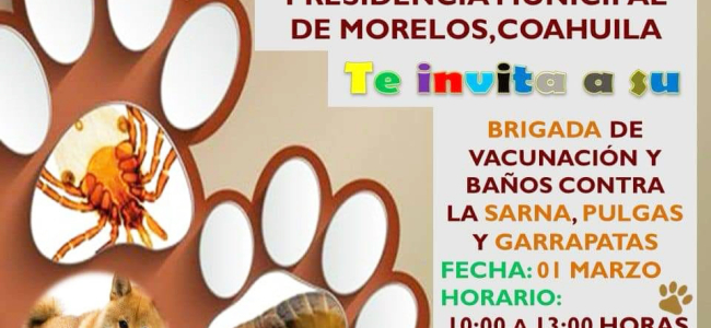 Invitan a brigada de vacunación y baño de mascotas en Morelos
