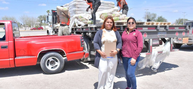 Apoyan economía de navenses con cemento subsidiado