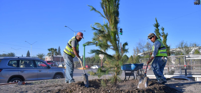 Avanza Nava en la generación de espacios más verdes