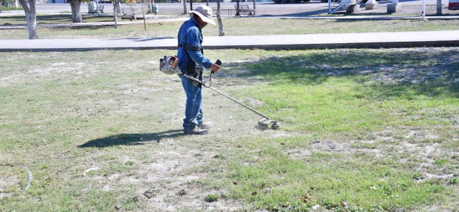 Conservan espacios públicos limpios y funcionales