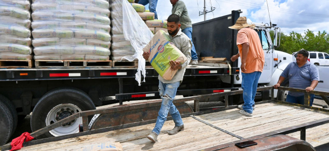 Entregan cemento subsidiado para apoyar economía de familias navenses