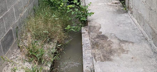 Realizan tareas de limpieza en usos de agua de Nava