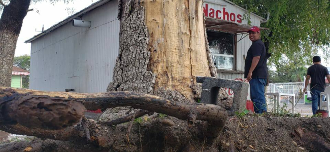 Tromba deja severos daños en Zaragoza