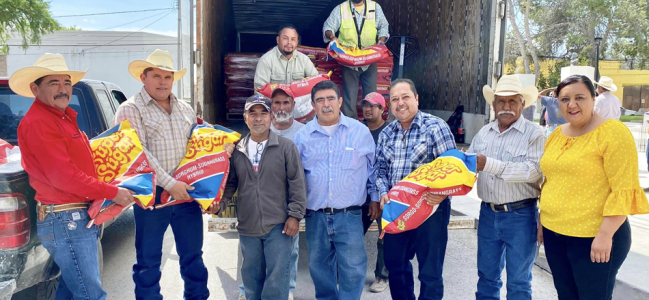Entregan 20 toneladas de semilla de sorgo forrajero en Villa Unión