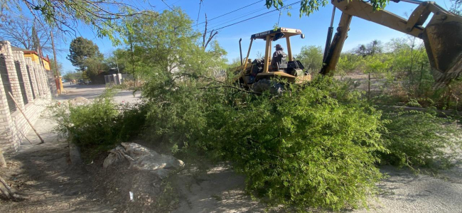 Fomentan espacios más ordenados y seguros en Villa Unión