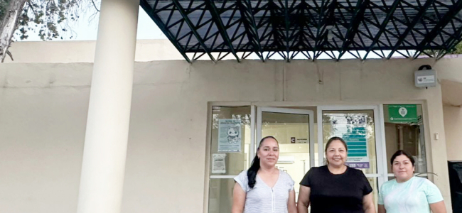 Coordinan fumigación en escuelas de Villa Unión