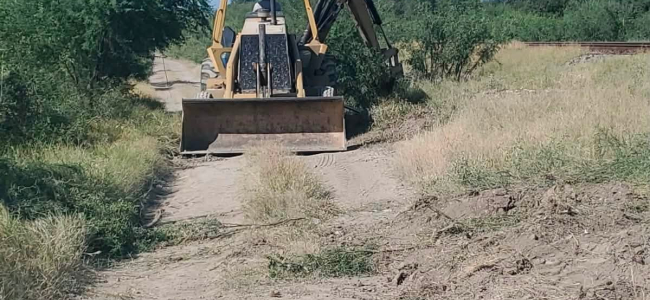 Realizan limpieza y retiro de maleza a los costados de las vías del tren