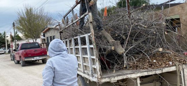 Refuerzan acciones de limpieza y recolección de ramas en Villa Unión