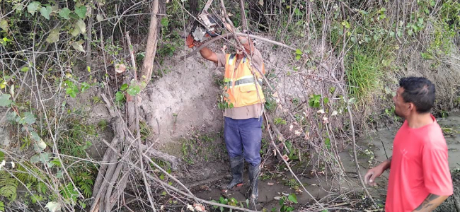 Apoya Administración Municipal limpieza de acequia San Ildefonso