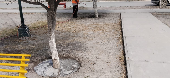 Permanente el mantenimiento de espacios públicos en Zaragoza