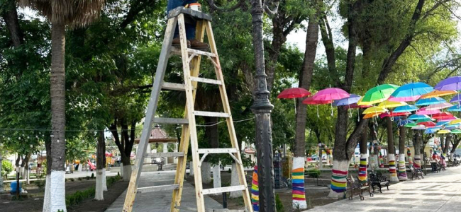 Realizan tareas de mantenimiento en la plaza Melchor Ocampo de Zaragoza