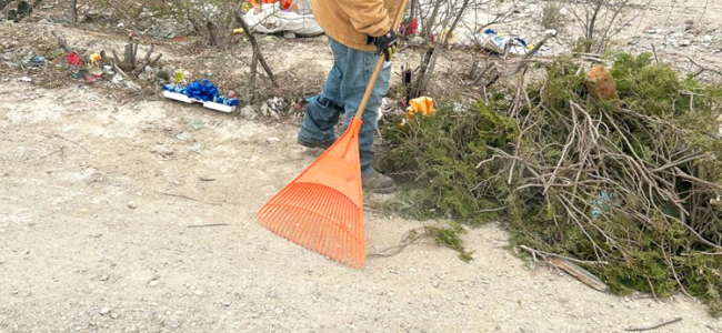 Realizan limpieza y reforestación en Panteón Inmaculado Corazón en Zaragoza