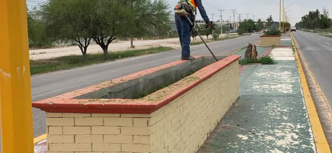 Trabajan por un municipio más limpio y ordenado