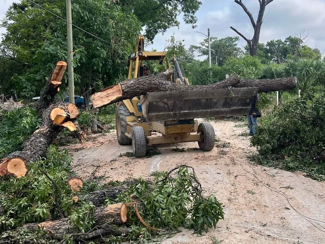 Continúa el retiro de árboles y ramas tras la tormenta en Villa Unión