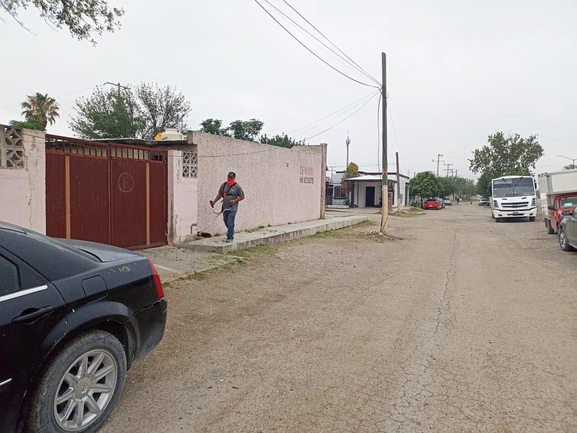 Realizan tareas de limpieza general en el bulevar Sur
