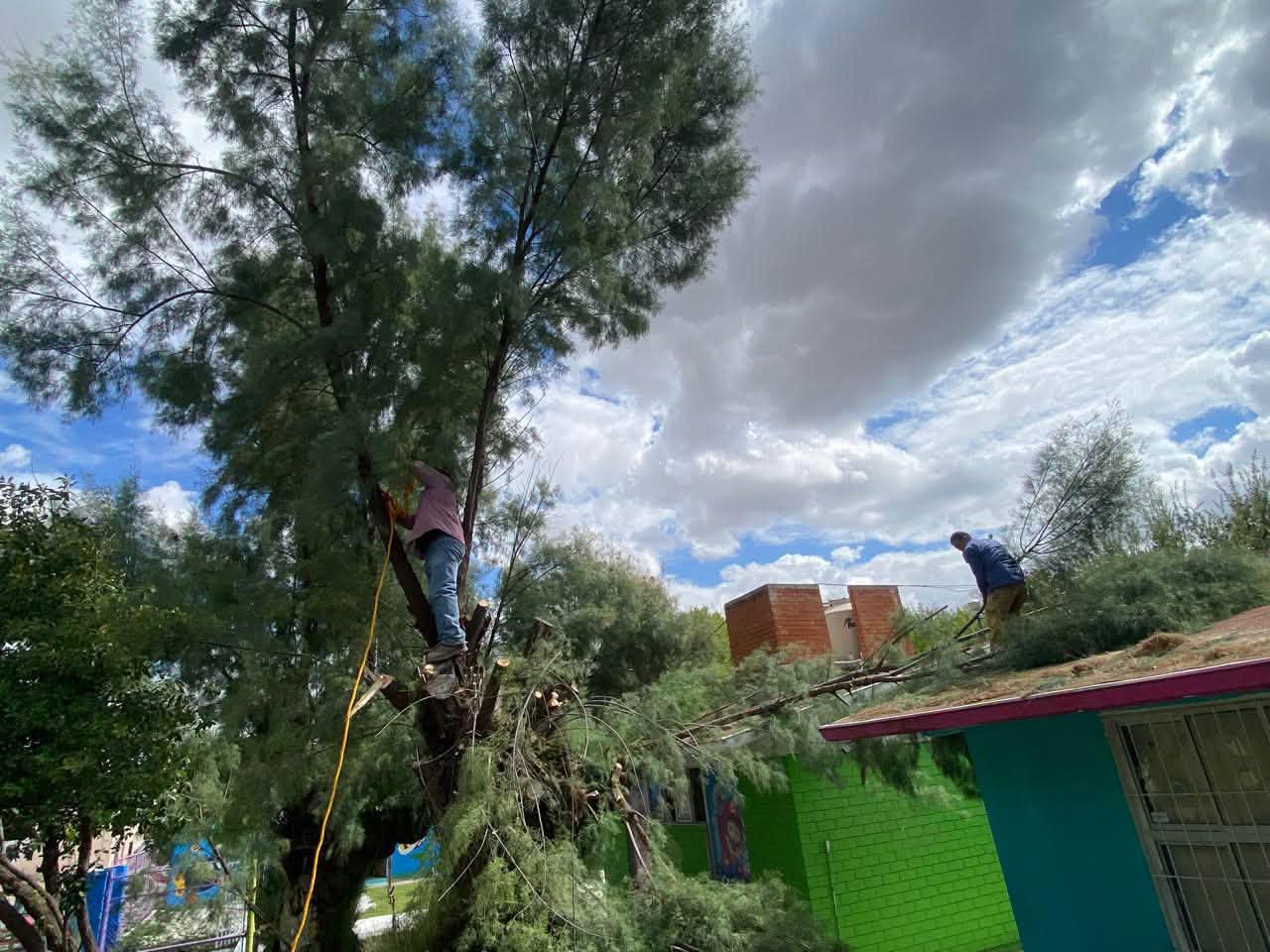 Continúan mejorando entorno e imagen de Villa Unión